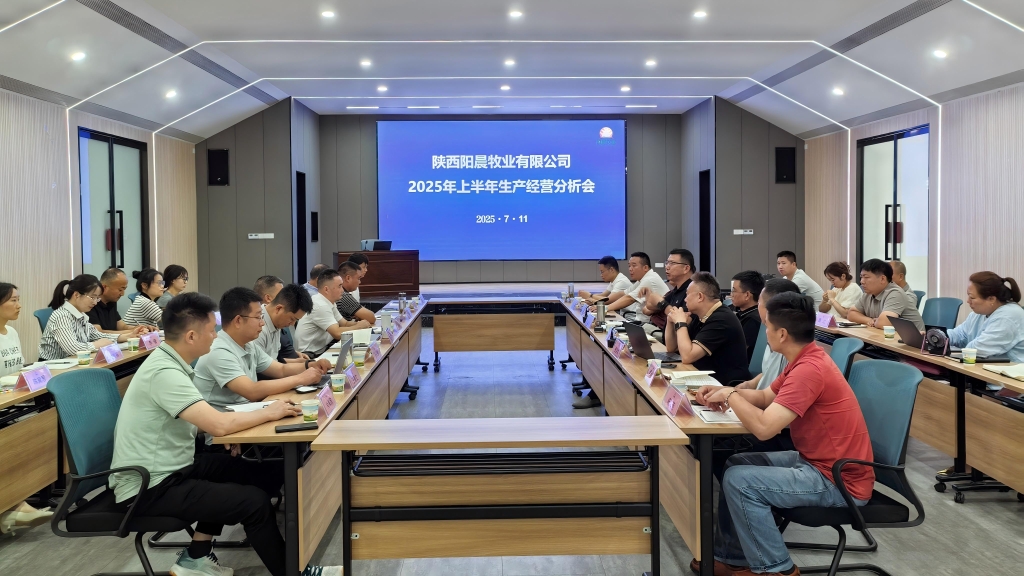 陽(yáng)晨牧業(yè)召開(kāi)2025年度上半年總結(jié)分析會(huì)